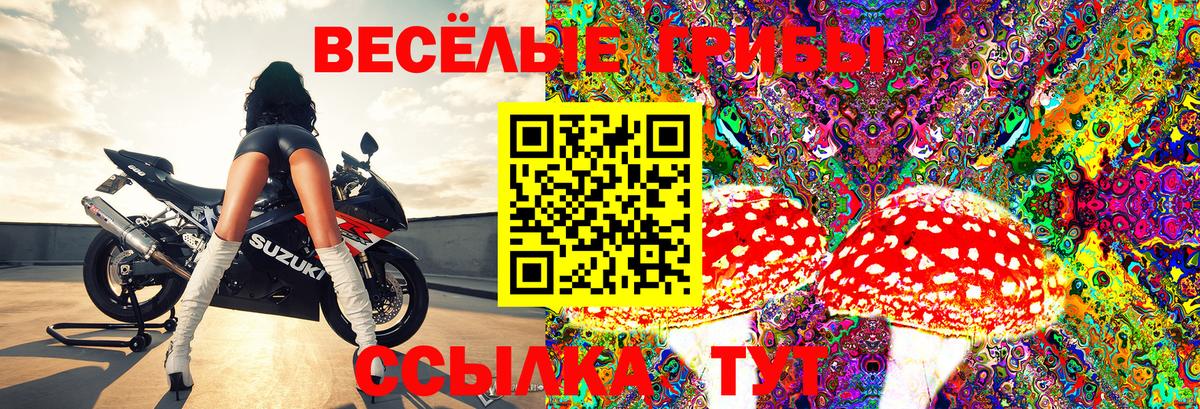 Меф   Сибай  Экстази  ГАШИШ  Канабис  Вход с VPN  КОКАИН 