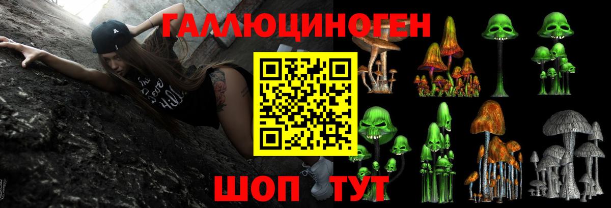 Сибай  Псилоцибиновые грибы прущие грибы  Вход с VPN 